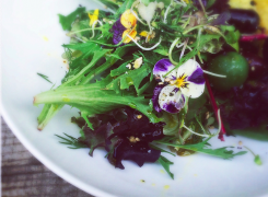 Eat Pretty Things––spring salads that are as beautiful as they are delicious
