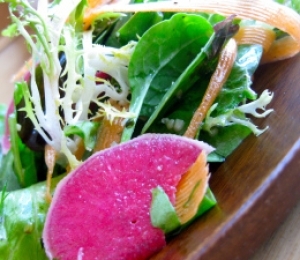 Frisée, Dill, Hemp Seed and Watermelon Radish Salad