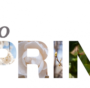Spring is for creating space